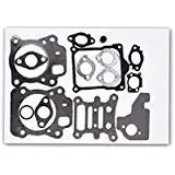 592174 Valve Gasket Set Replaces For 799496, 796662