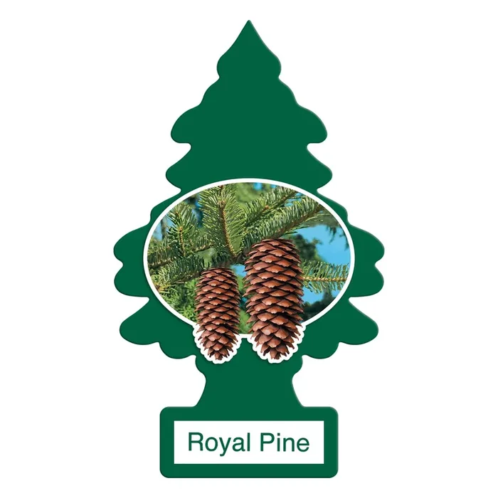 Little Trees Car Air Freshener Hanging Paper Tree For Home Or Car Royal Pine 12 Pack