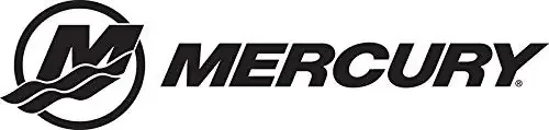 Mercury Repair Kit