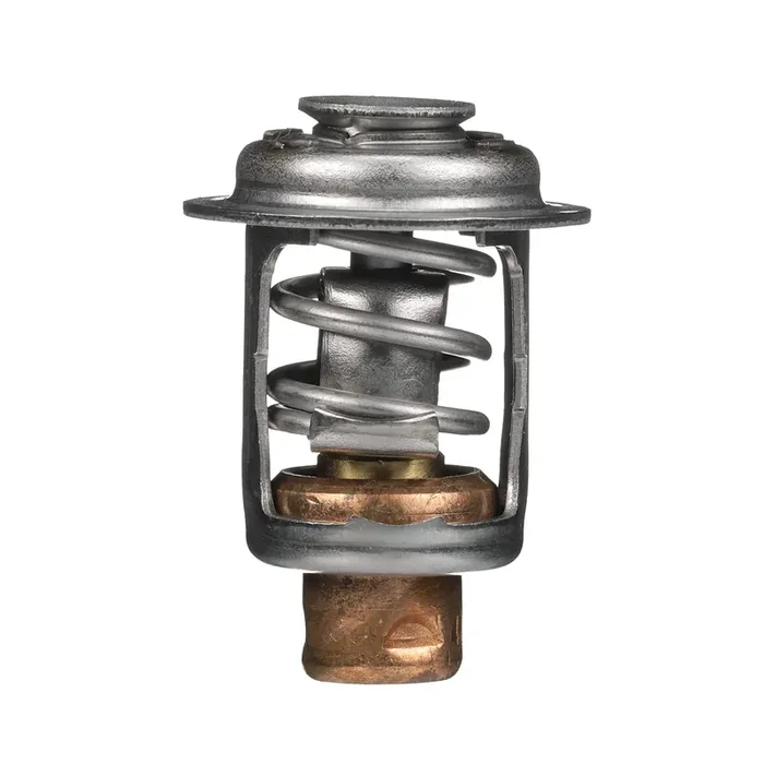 Quicksilver 833072003 Replacement Thermostat