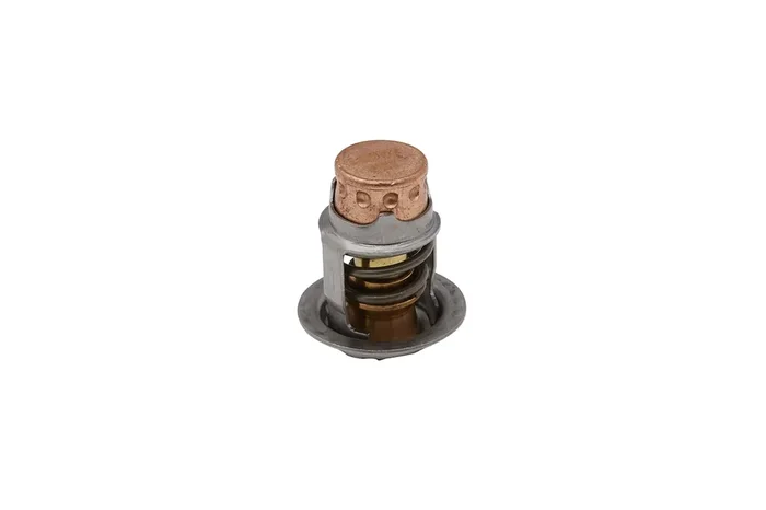 Quicksilver 8M0168892 Replacement Thermostat